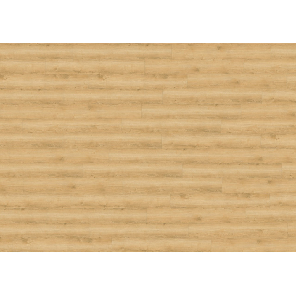 WINEO 800 wood Wheat Golden Oak