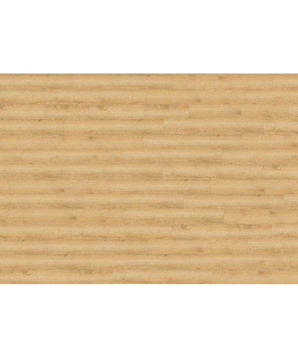WINEO 800 wood Wheat Golden Oak